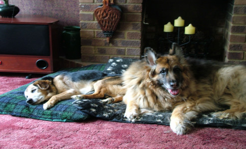 TRAMP AND JAKE